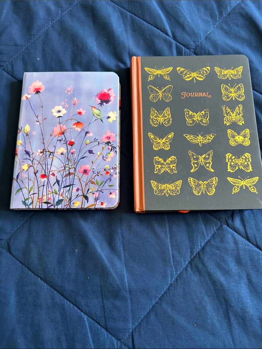 Blank Journals x 2